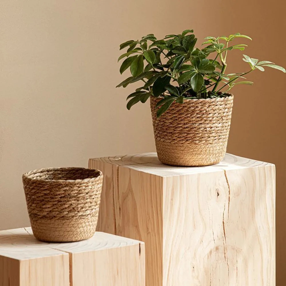 Cestino Rattan per Piante da Giardino