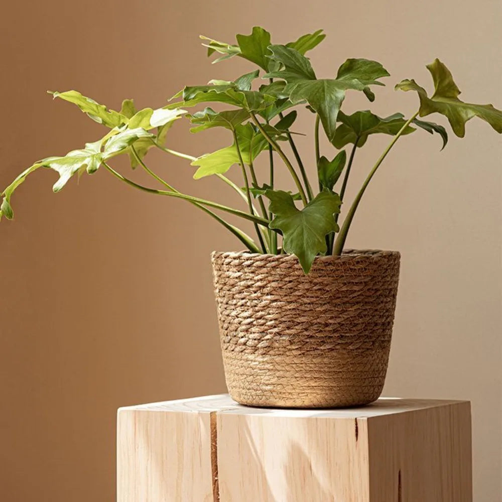 Cestino Rattan per Piante da Giardino