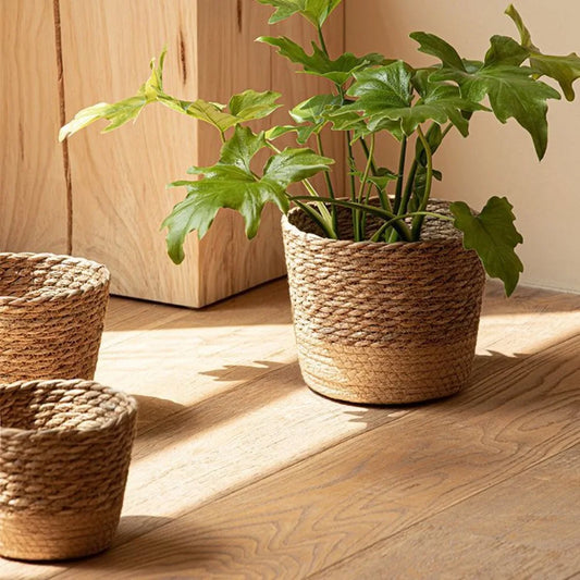 Cestino Rattan per Piante da Giardino