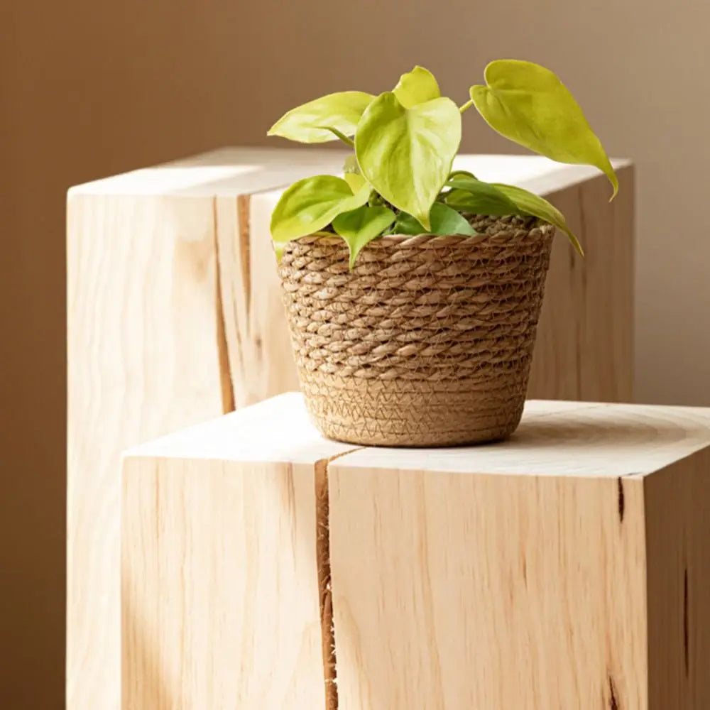 Cestino Rattan per Piante da Giardino